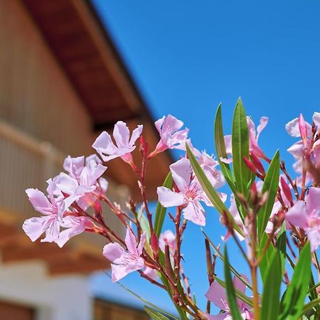 Ferienwohnung Zimmer Tittmoning Stadtplatz 27 ภายนอก รูปภาพ
